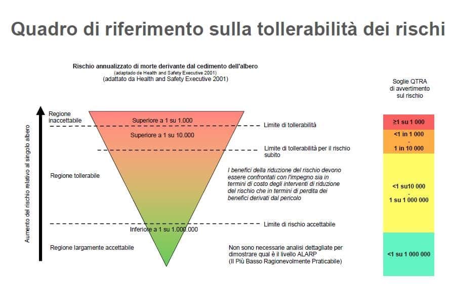 acer_negundo_treviglio_4